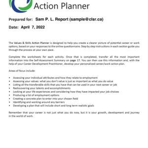 Values & Skills Action Planner (VSAP)